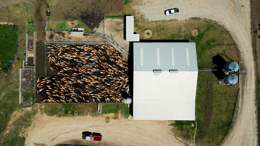 0 Bedroom Property for Sale in Stutterheim Rural Eastern Cape